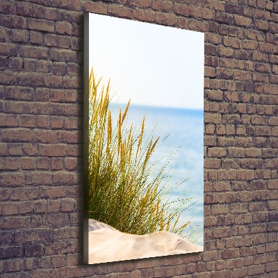 Verticale foto op canvas Duinen aan zee