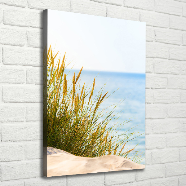 Verticale foto op canvas Duinen aan zee