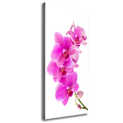 Verticaal canvasschilderij Roze orchidee