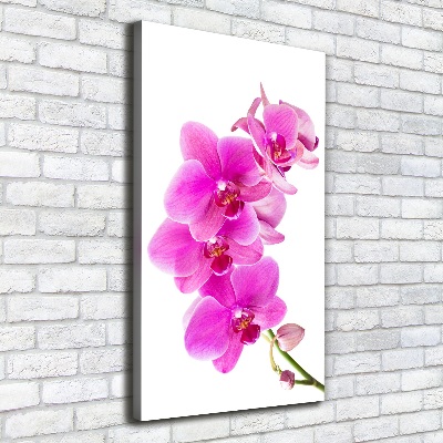 Verticaal canvasschilderij Roze orchidee