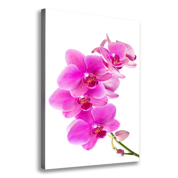 Verticaal canvasschilderij Roze orchidee
