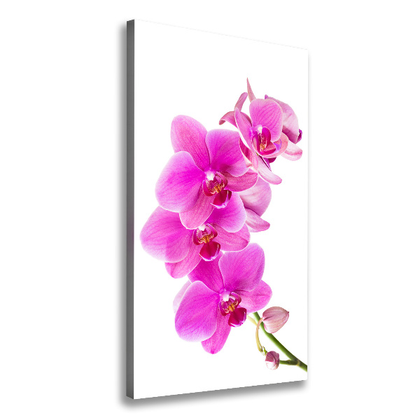 Verticaal canvasschilderij Roze orchidee