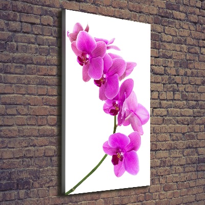 Verticaal schilderij op canvas Roze orchidee