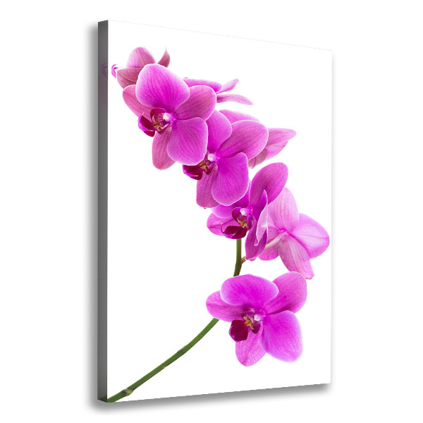 Verticaal schilderij op canvas Roze orchidee