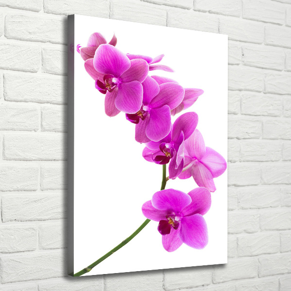 Verticaal schilderij op canvas Roze orchidee