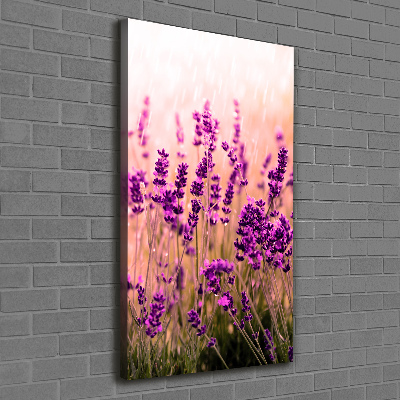 Verticaal schilderij op canvas Lavendelveld