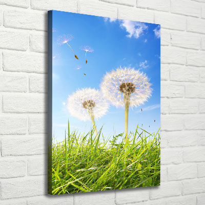 Verticale foto op canvas Paardenbloemen in de wei