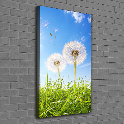 Verticale foto op canvas Paardenbloemen in de wei