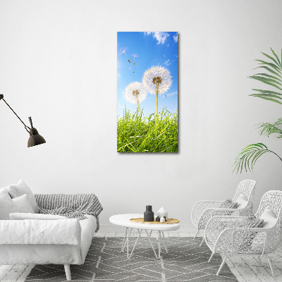 Verticale foto op canvas Paardenbloemen in de wei