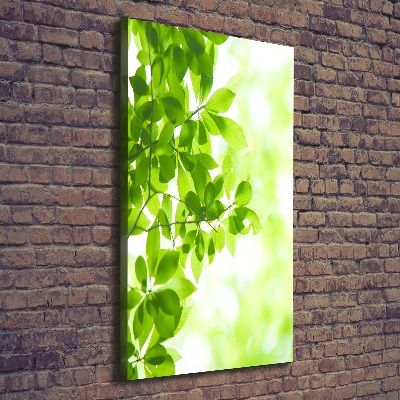Verticale foto op canvas Groene bladeren
