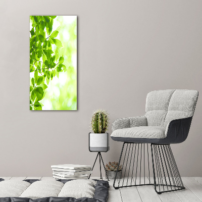 Verticale foto op canvas Groene bladeren