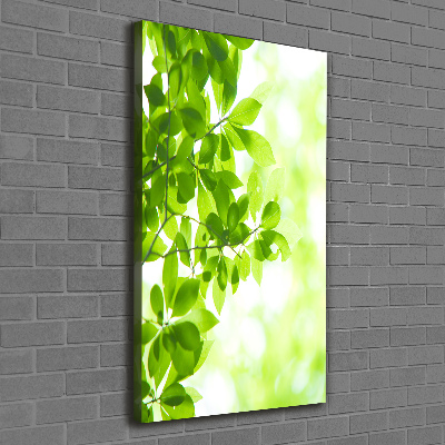 Verticale foto op canvas Groene bladeren