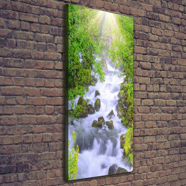 Verticale foto op canvas Bergstroom