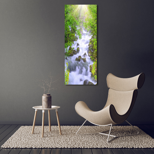 Verticale foto op canvas Bergstroom