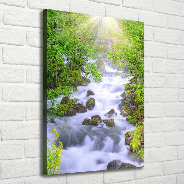 Verticale foto op canvas Bergstroom