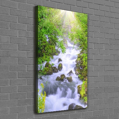 Verticale foto op canvas Bergstroom
