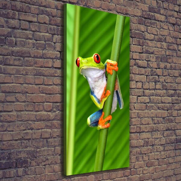 Verticale canvasfoto Europese boomkikker