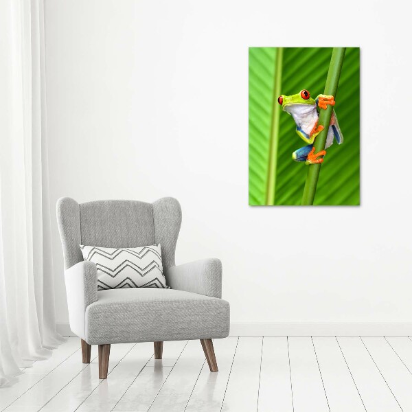 Verticale canvasfoto Europese boomkikker
