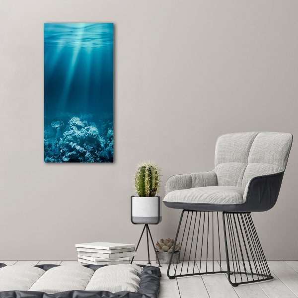 Verticale foto op canvas Onderwaterwereld
