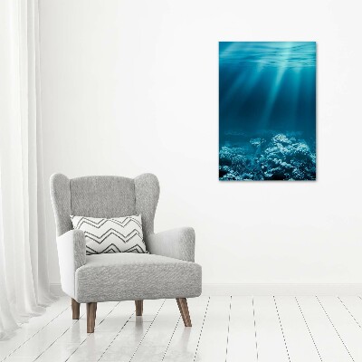 Verticale foto op canvas Onderwaterwereld