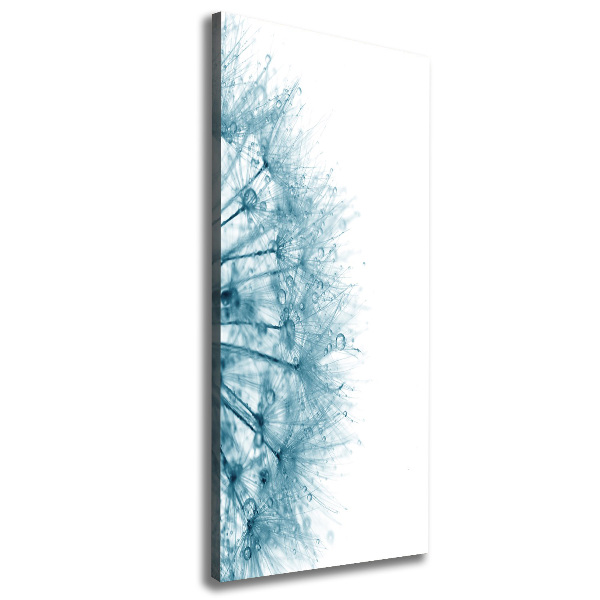 Verticale foto op canvas Paardenbloemzaden