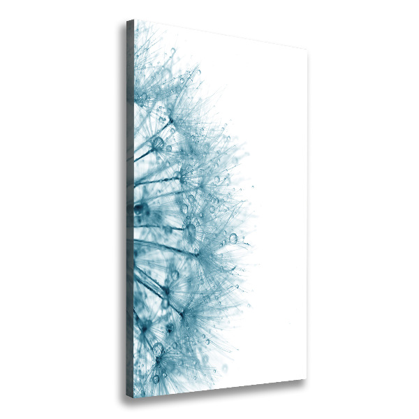 Verticale foto op canvas Paardenbloemzaden