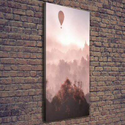 Verticale foto op canvas Vliegende ballonbos