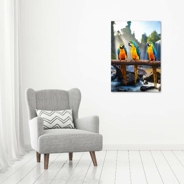 Verticale foto op canvas Ara papegaaien
