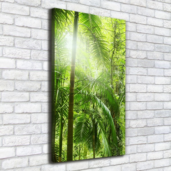 Verticale foto op canvas Regenwoud