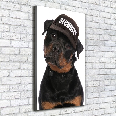 Verticale foto op canvas Rottweiler met pet