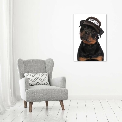 Verticale foto op canvas Rottweiler met pet