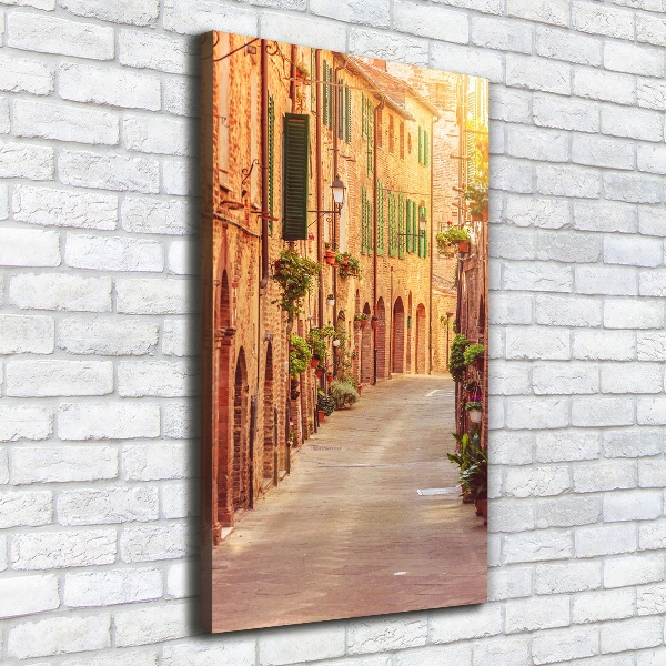 Verticale foto op canvas Italiaanse straten