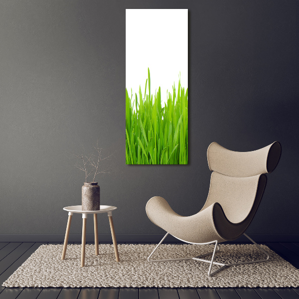 Verticale canvasfoto Groen gras