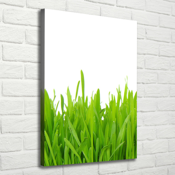 Verticale canvasfoto Groen gras