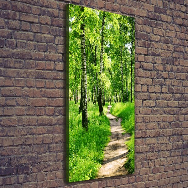 Verticale foto op canvas Berkenbos