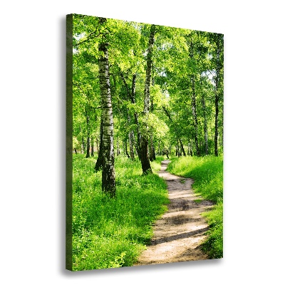 Verticale foto op canvas Berkenbos