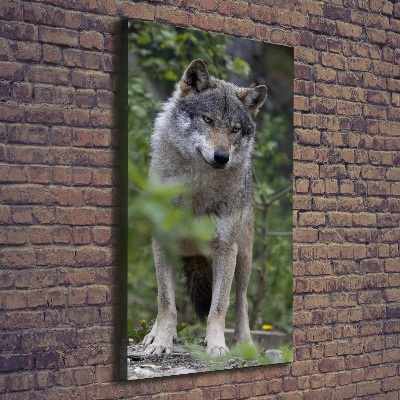 Verticaal canvasschilderij Wolf in het bos