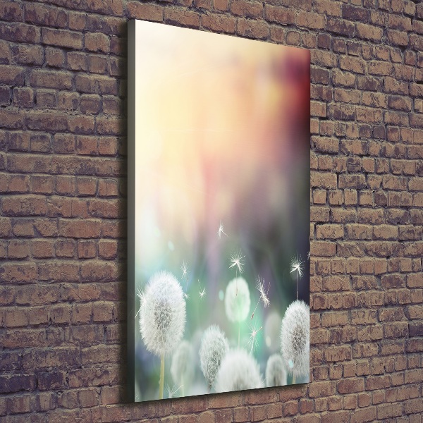 Verticale canvasfoto Paardenbloemen