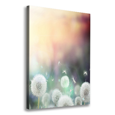 Verticale canvasfoto Paardenbloemen