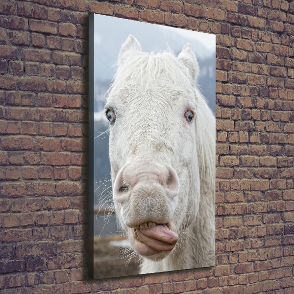 Verticaal schilderij op canvas Gek wit paard