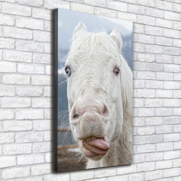 Verticaal schilderij op canvas Gek wit paard