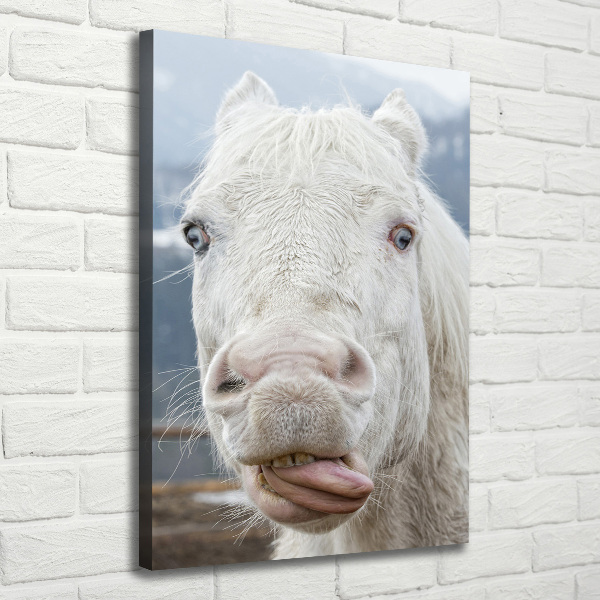 Verticaal schilderij op canvas Gek wit paard