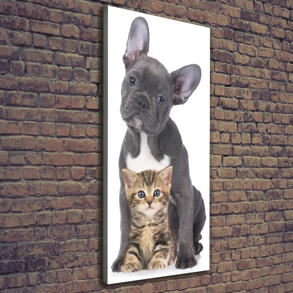 Verticale foto op canvas Hond en kat