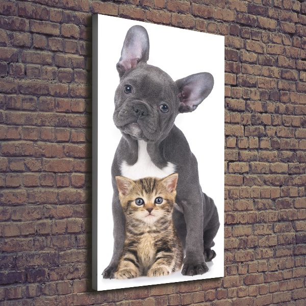Verticale foto op canvas Hond en kat