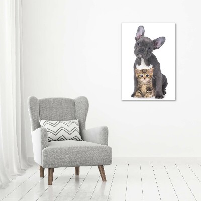 Verticale foto op canvas Hond en kat