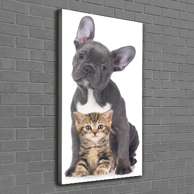 Verticale foto op canvas Hond en kat