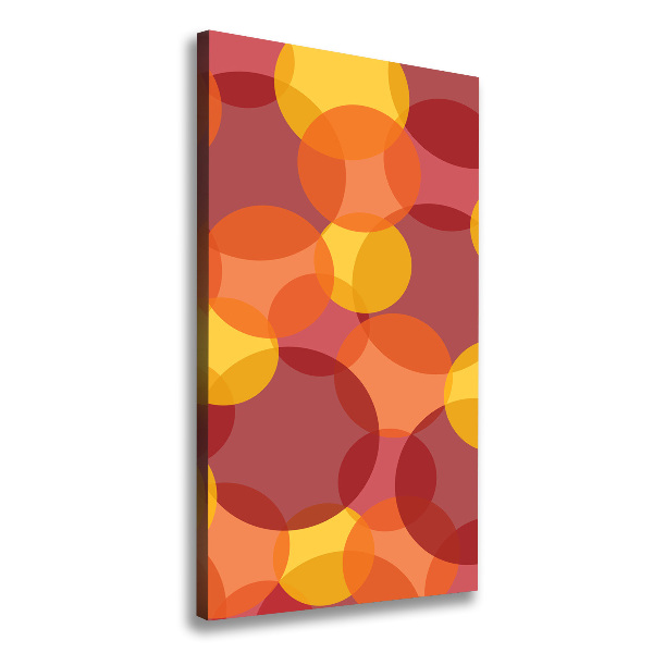 Verticaal schilderij op canvas Kleurrijke cirkels