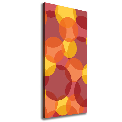 Verticaal schilderij op canvas Kleurrijke cirkels