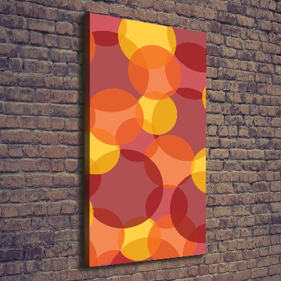 Verticaal schilderij op canvas Kleurrijke cirkels