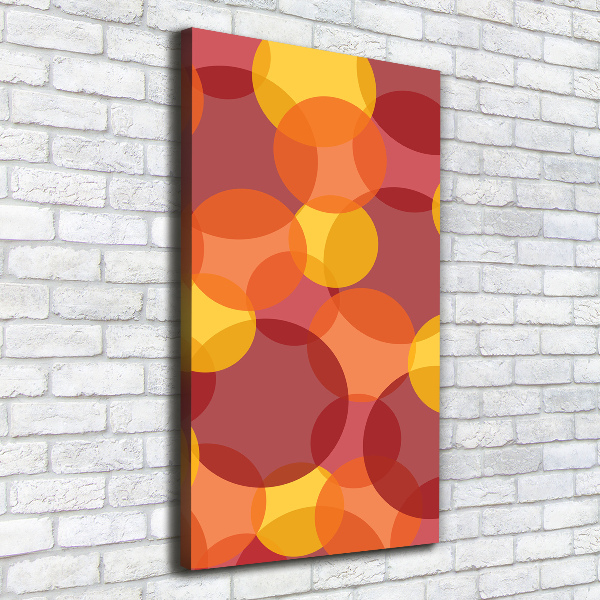 Verticaal schilderij op canvas Kleurrijke cirkels